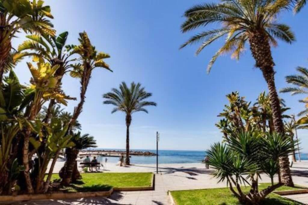 Penthouse Ramon G-Playa Del Cura Apartment Torrevieja Exterior photo